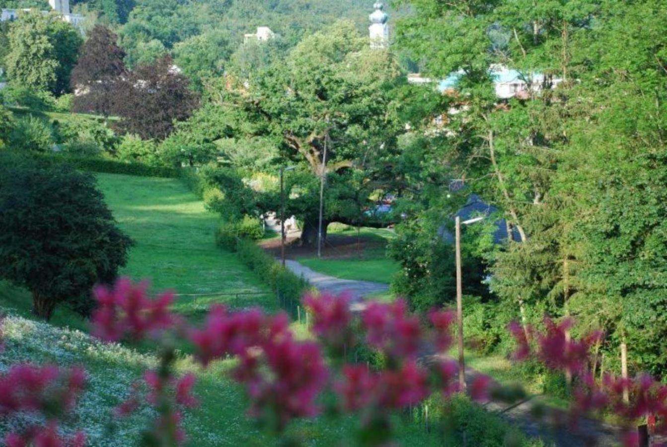 Rhoen Hotel Waldcafe St. Georg Staatsbad Brückenau Εξωτερικό φωτογραφία