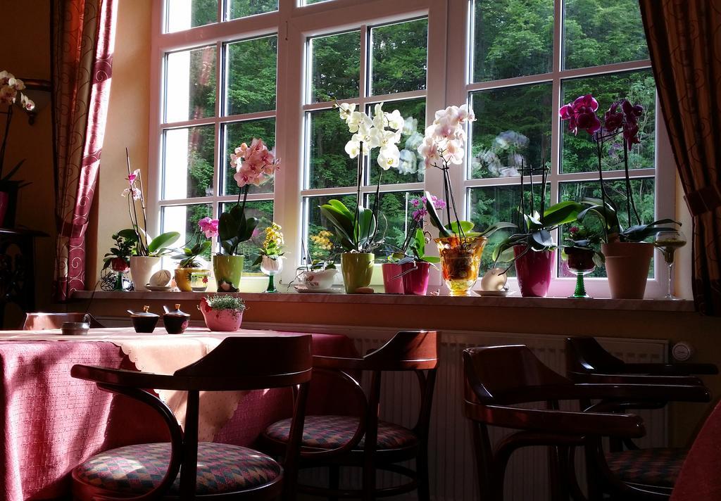 Rhoen Hotel Waldcafe St. Georg Staatsbad Brückenau Εξωτερικό φωτογραφία