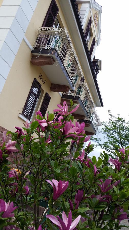 Rhoen Hotel Waldcafe St. Georg Staatsbad Brückenau Εξωτερικό φωτογραφία