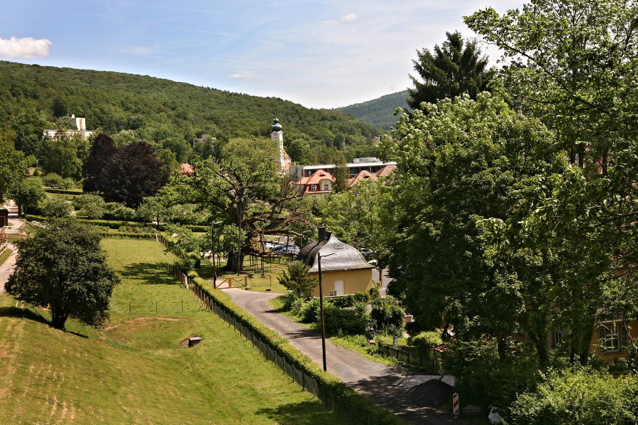 Rhoen Hotel Waldcafe St. Georg Staatsbad Brückenau Εξωτερικό φωτογραφία