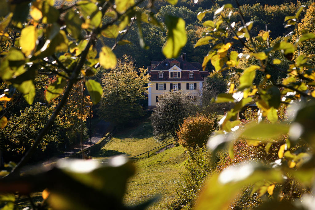 Rhoen Hotel Waldcafe St. Georg Staatsbad Brückenau Εξωτερικό φωτογραφία